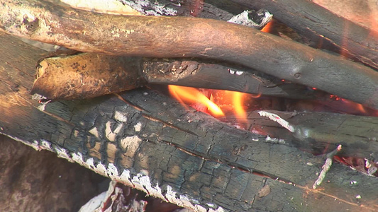 木材点燃燃烧视频