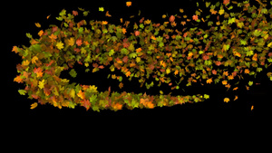 飞舞的秋叶12秒视频