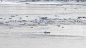 冬季寒冷气候白雪河水与浮冰16秒视频