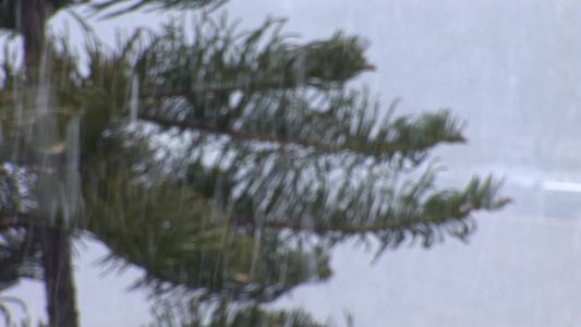 耶路撒冷的雪视频