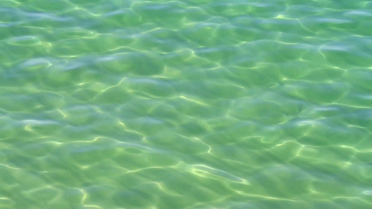 清澈的绿色海洋视频