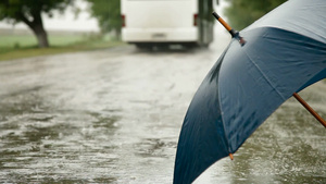 路上的雨伞9秒视频