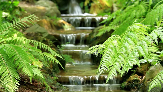 山间小溪和苔藓岩石[苔鲜]视频