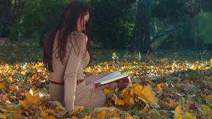 年轻女孩坐在草地看书背影23秒视频