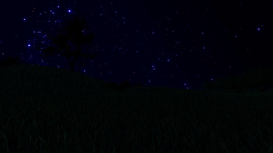 草地和星空[绿茵茵]视频