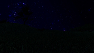 草地和星空19秒视频