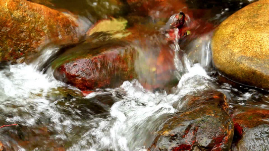 山间溪流流水视频