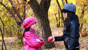 秋天的公园里两个女孩在吃苹果29秒视频