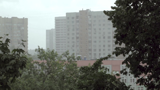 大雨中俄罗斯莫斯科的树木和建筑物[下诺夫哥罗德]视频