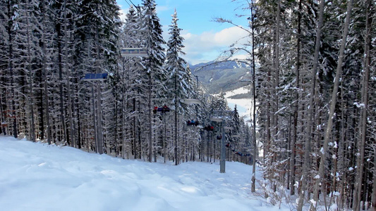 坐电缆滑雪者穿过森林视频