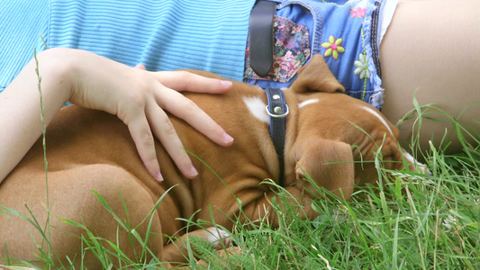 疲惫的孩子和小狗在夏天的花园里的草地上放松[倦意]视频