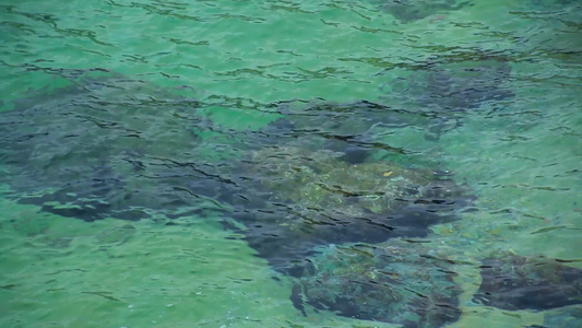 绿松石水域里的的一堆岩石视频