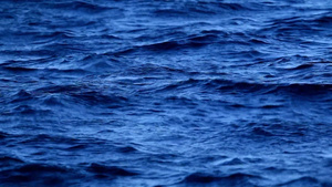 蓝色的水背景21秒视频