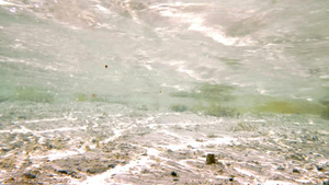 清澈流动的大海25秒视频