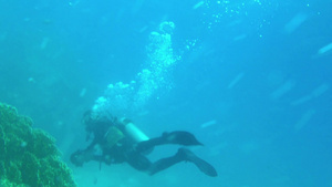 自由潜水员带着相机在海底珊瑚礁附近拍照12秒视频