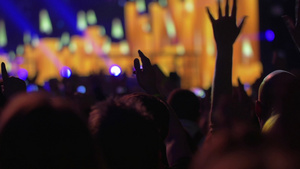 人们举手欢呼欣赏音乐会的表演10秒视频
