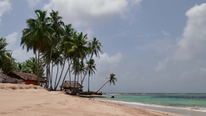 大西洋环礁群岛白色沙滩上的椰子树和房子10秒视频
