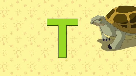 字母t和单词海龟视频