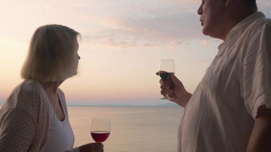 幸福的夫妇在日落海滨碰杯视频