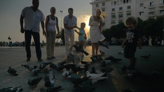 一家人在广场上喂养鸽子视频