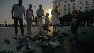 一家人在广场上喂养鸽子16秒视频