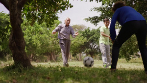 老人陪孩子玩足球游戏8秒视频