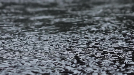 密集的雨水倾泻路面视频