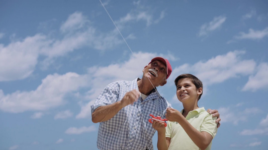 男孩和祖父愉快的放风筝视频