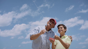 男孩和祖父愉快的放风筝11秒视频