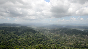 加屯湖岸边俯瞰热带雨林6秒视频