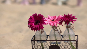 三瓶花朵摆放在沙滩上13秒视频