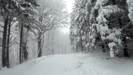 冬天山上被雪覆盖的道路视频