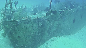 大开曼的水下景观23秒视频