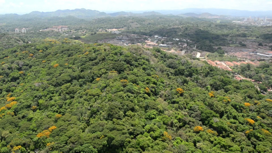 俯瞰热带雨林视频