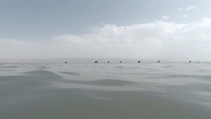 从死海水位向海滩的低角度视图25秒视频