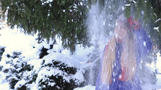 女人抖动着松枝上的雪 视频