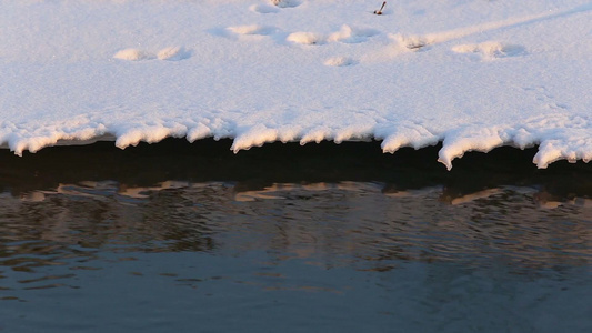 冬天的河流里的雪和冰[天冷]视频