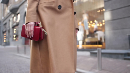 在购物中心行走的时尚的女人部分特写[型格]视频