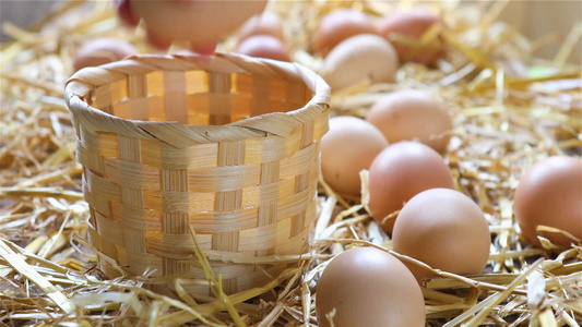 农民将鸡蛋放在篮子里视频