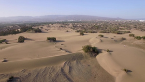 空中拍摄沙地与绿色植物和灌木丛49秒视频
