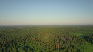 空中全景拍摄俄罗斯的自然森林20秒视频