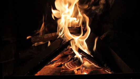 燃烧的木材[竹材]视频