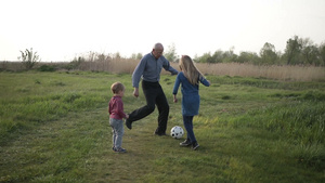英俊的祖父教孙子孙女在绿色草坪上踢足球11秒视频