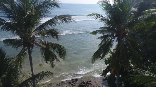 泰国夏季海滩场景与棕榈树视频
