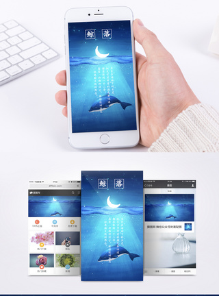 蓝色的鱼月光照亮海中的鲸鱼手机壁纸模板
