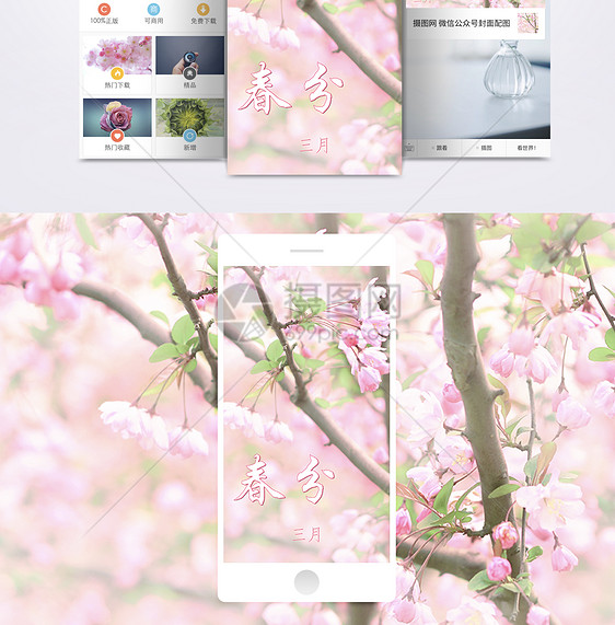 春分手机海报配图图片
