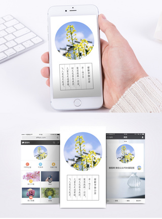 春天日签手机海报配图图片