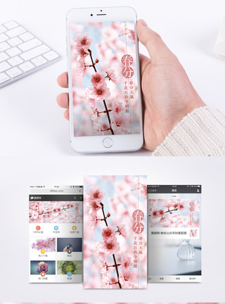 春分手机春天春分桃花手机海报配图模板