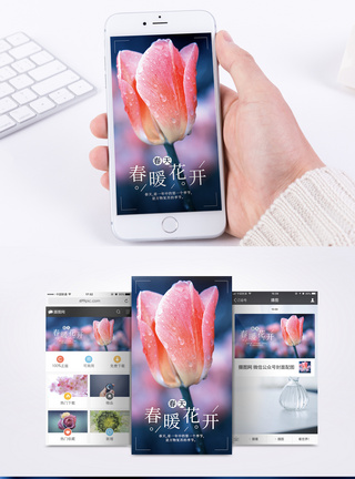 春天粉色花朵手机海报模板