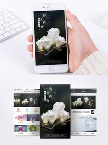 春天玉兰花开手机海报配图图片